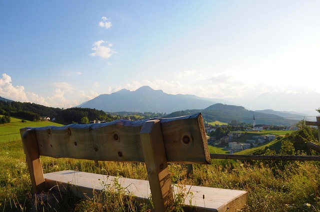 全面！本赛季约基奇在场均得分、篮板、助攻、抢断均进入联盟前五.