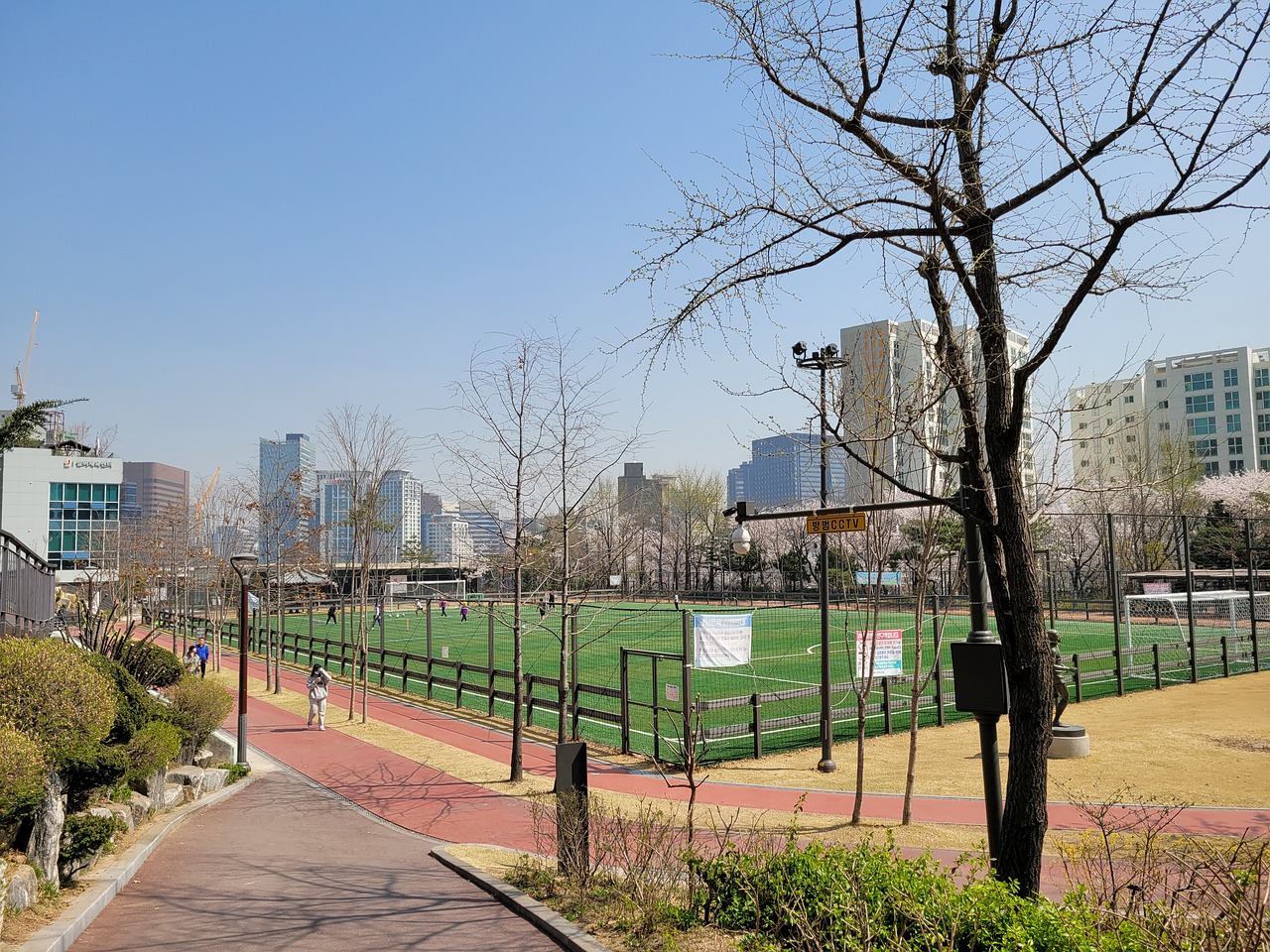 西方的阴谋？杜布瓦用退赛保住金腰带，拖延张志磊冲世界冠军进度.