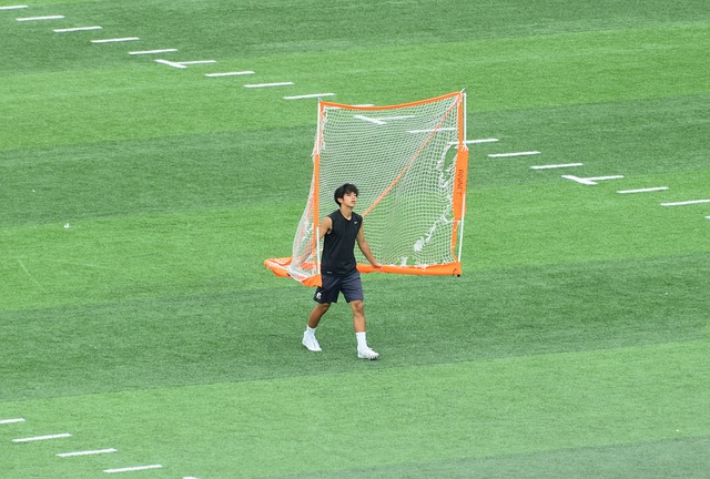 数则减少到