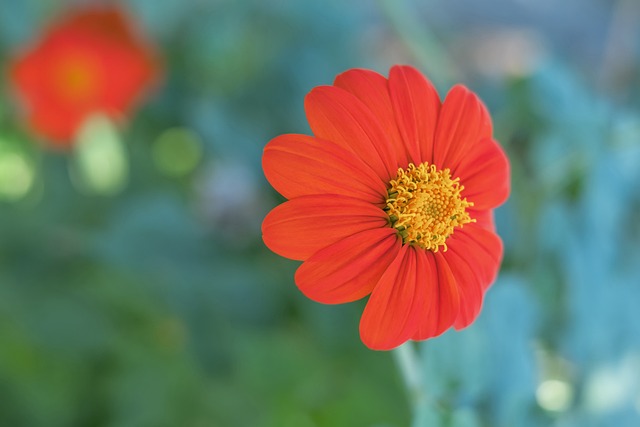 能会令事情 能会令事情