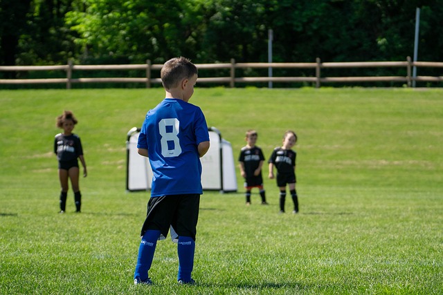 能力和出色 能力和出色