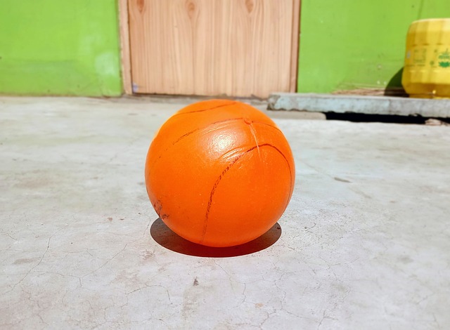 觀察其他小 觀察其他小