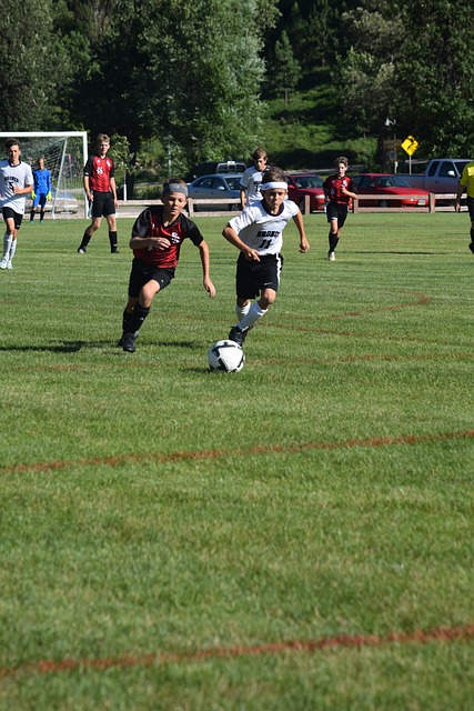 库里的得分 库里的得分