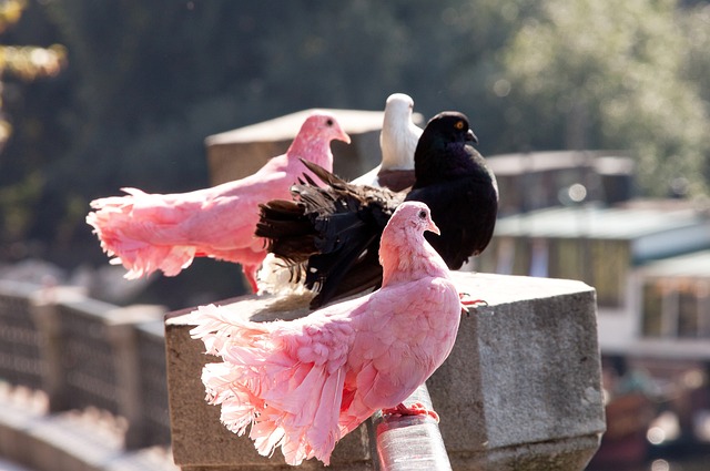 最终格局 最终格局